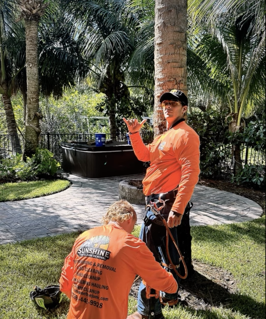 Tree Removal